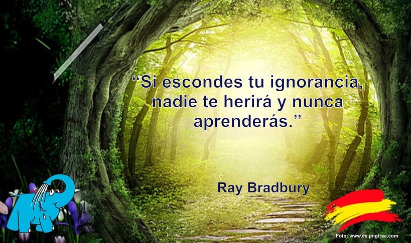 Si escondes tu ignorancia, nadie te herirá y nunca aprenderás.